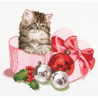 Chaton de Noël 731 Aida Thea Gouverneur