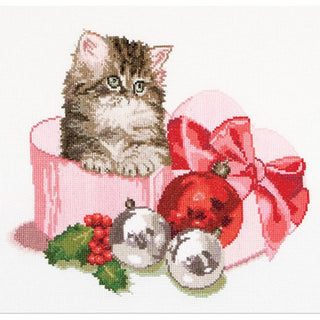 Chaton de Noël 731 Aida Thea Gouverneur