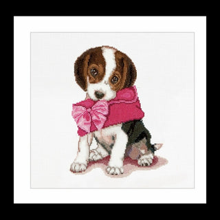 Puppy Love 732 Aida Thea Gouverneur