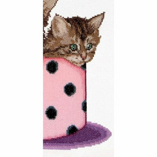 Kitten twins 734 Aida Thea Gouverneur