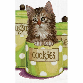 Cookie time 735 Aida Thea Gouverneur