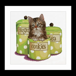 Cookie time 735 Aida Thea Gouverneur