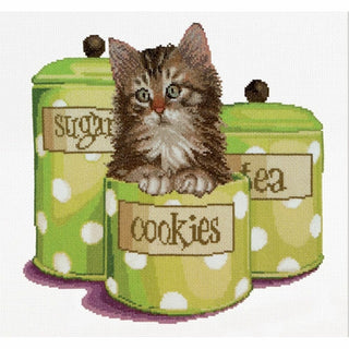 Cookie time 735 Aida Thea Gouverneur