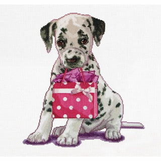 Puppy went shopping 737 Aida Thea Gouverneur