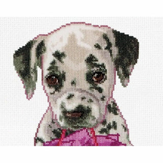 Puppy went shopping 737 Aida Thea Gouverneur