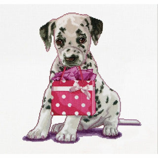 Puppy went shopping 737 Aida Thea Gouverneur