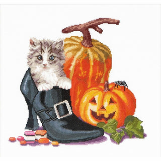 Halloween Kitten 738 Aida Thea Gouverneur