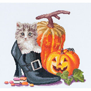 Halloween Kitten 738 Aida Thea Gouverneur