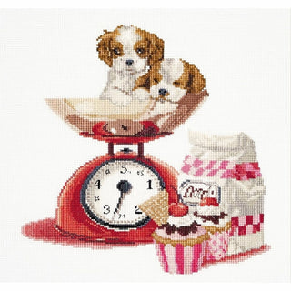 Chiots sur la balance 741 Aida Thea Gouverneur