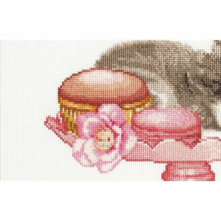 Chat sur la balance 742 Aida Thea Gouverneur