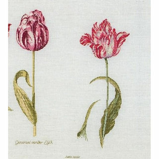 Tulipes 786 lin Thea Gouverneur