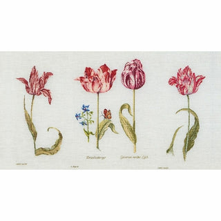 Tulipes 786 lin Thea Gouverneur