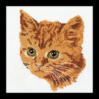 Chat roux - 931 Aida - Thea Gouverneur