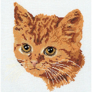 Chat roux - 931 Aida - Thea Gouverneur