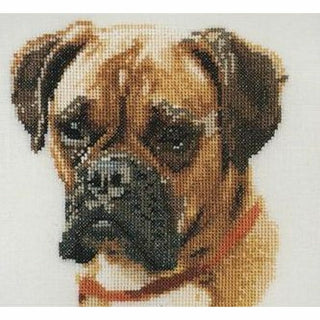 Thea Gouverneur 933 Aida Chien Boxer
