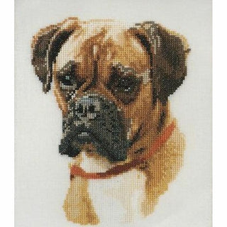 Thea Gouverneur 933 lin Chien Boxer