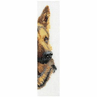 Chien Berger Allemand 934 Aida Thea Gouverneur
