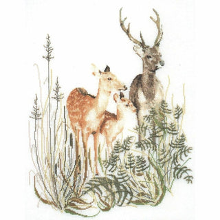 Famille Cerf 938 lin Thea Gouverneur