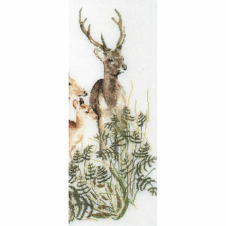 Famille Cerf 938 lin Thea Gouverneur