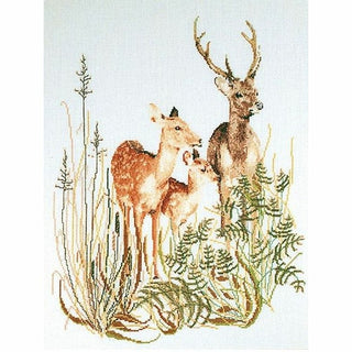 Famille Cerf 938 lin Thea Gouverneur